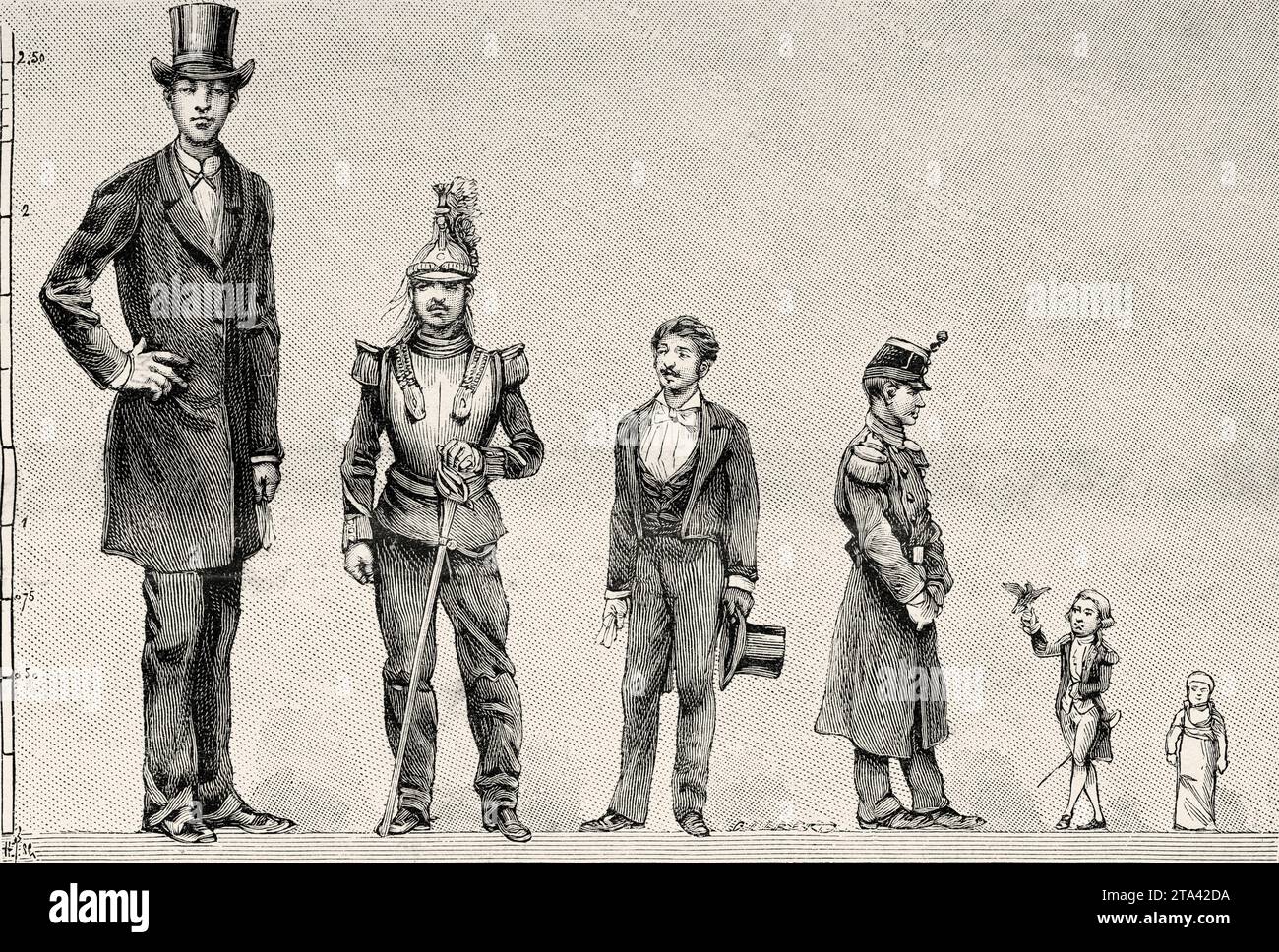 Variationen der numanischen Größe. Der Riese Winckermeler, 2,60. Ein Kürassier, 1,80. Durchschnittlicher Mann, 1,66. Kleiner Soldat, 1,54. Der Borulawski-Zwerg, 0,75. Ein Baby bei der Geburt, 0,50. Alte Illustration aus La Nature 1887 Stockfoto