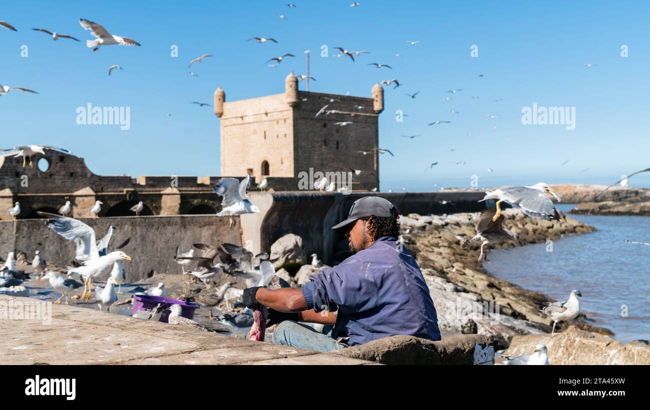 Essaouira, Marokko - 17. September 2022: Marokkanische Fischer reinigen und bereiten ihren täglichen Fang am Sqala du Port vor, einem Verteidigungsturm am Fischfang Stockfoto