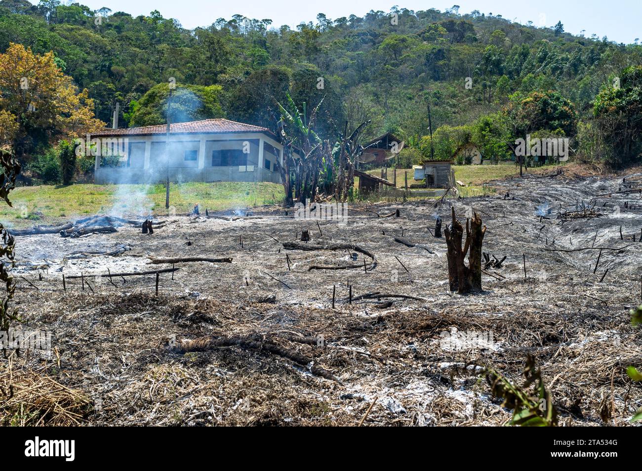 Slash-and-Burn-Landwirtschaft, die in kleinen landwirtschaftlichen Betrieben für die Gemüseproduktion genutzt wird - vor kurzem verbrannte Flächen im Vordergrund und Sekundärwald im Hintergrund. Nova Friburgo, Bundesstaat Rio de Janeiro, Brasilien. Stockfoto