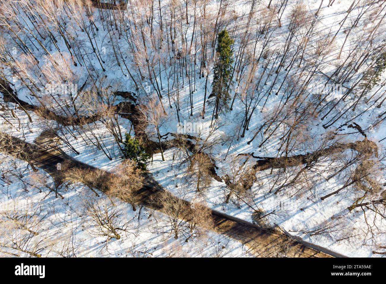 Luftbild einer Landstraße durch einen Winterwald neben einem Bach in einer Schlucht Stockfoto