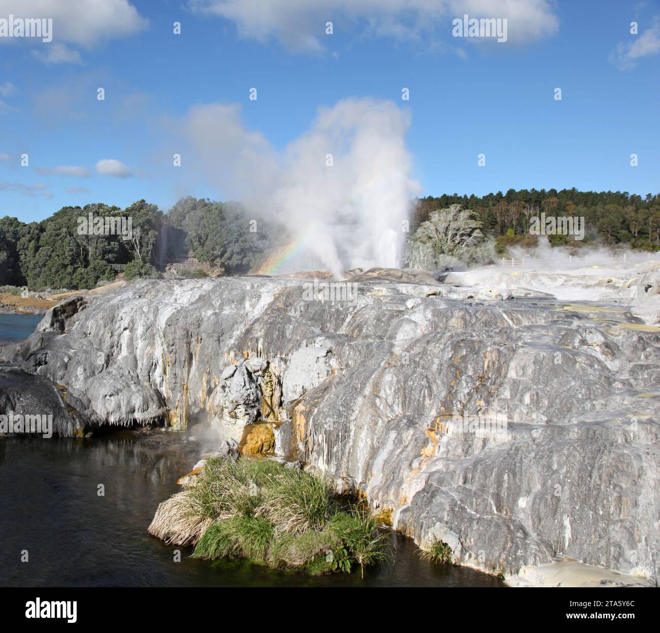 Pohutu und Prinz von Wales Geysire. Rotorua Neuseeland Stockfoto