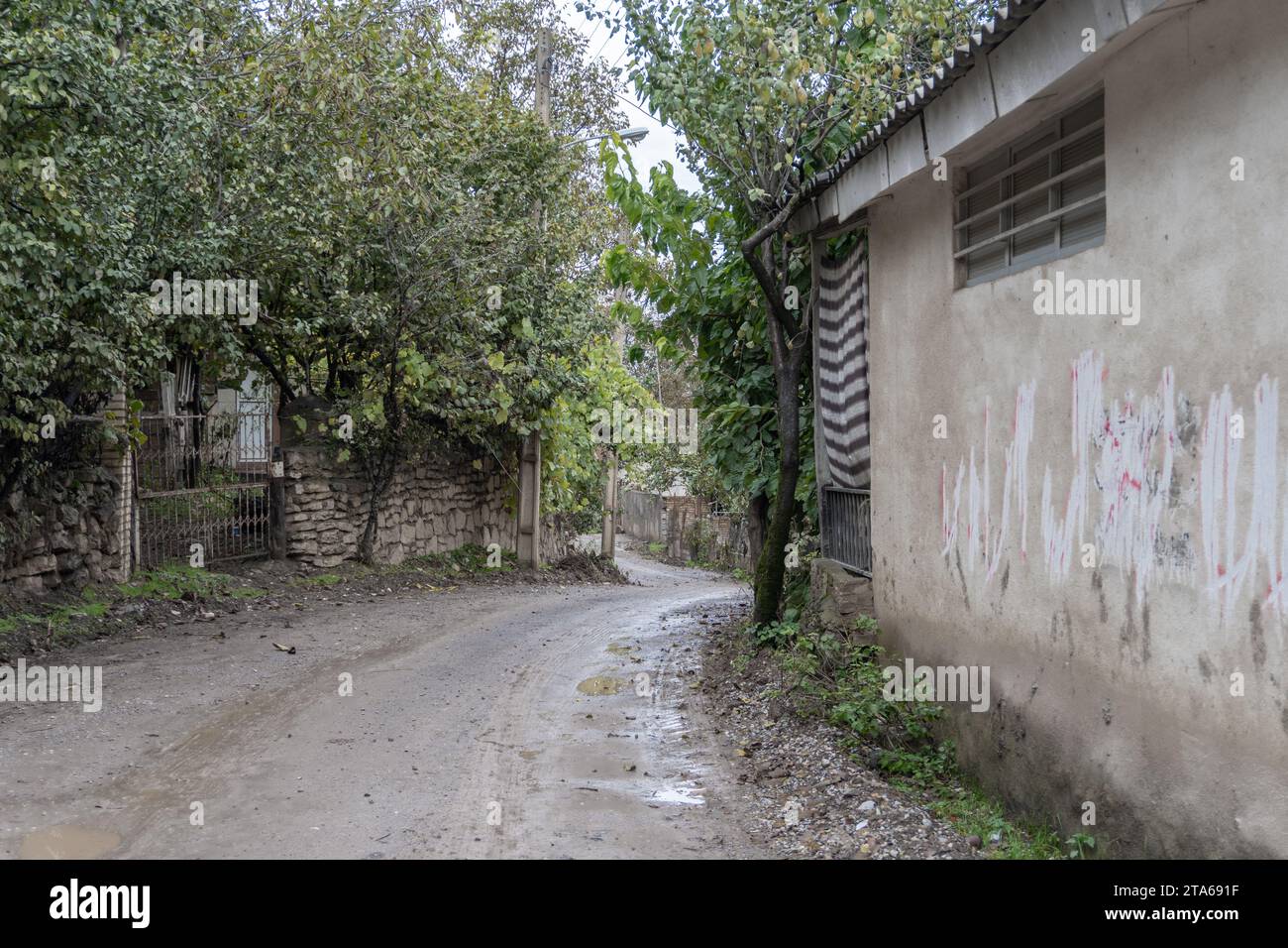 Ein Haus am Straßenrand mit Waldbäumen Stockfoto