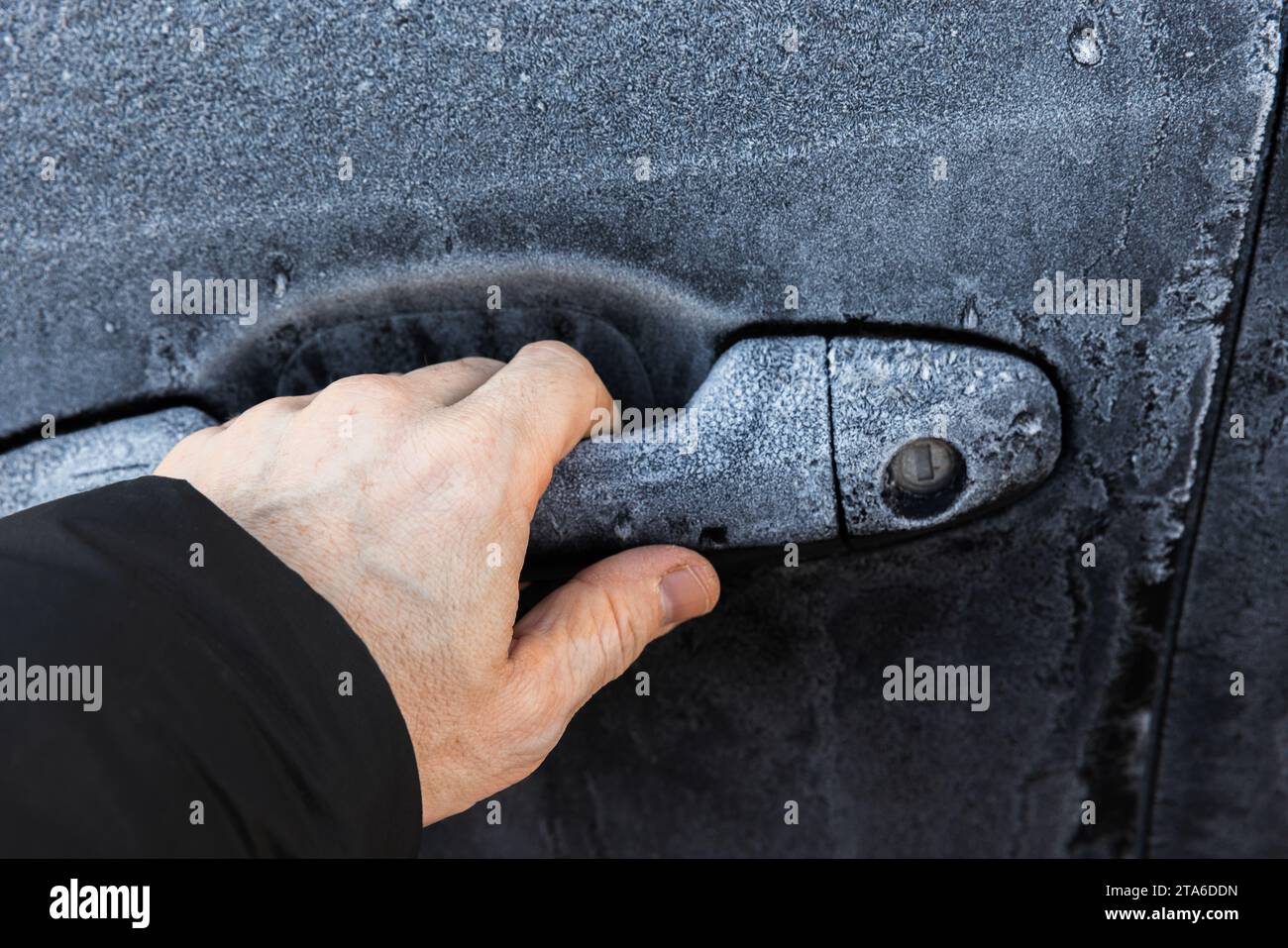 Hand versucht, die verschlossene Tür eines schwarzen Autos zu öffnen, das in der kalten Wintersaison mit Frost bedeckt ist Stockfoto