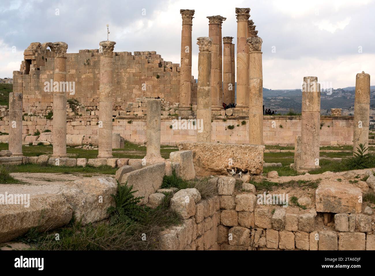 Jerash, Tempel der Artemis (2.. Jahrhundert). Jordanien. Stockfoto