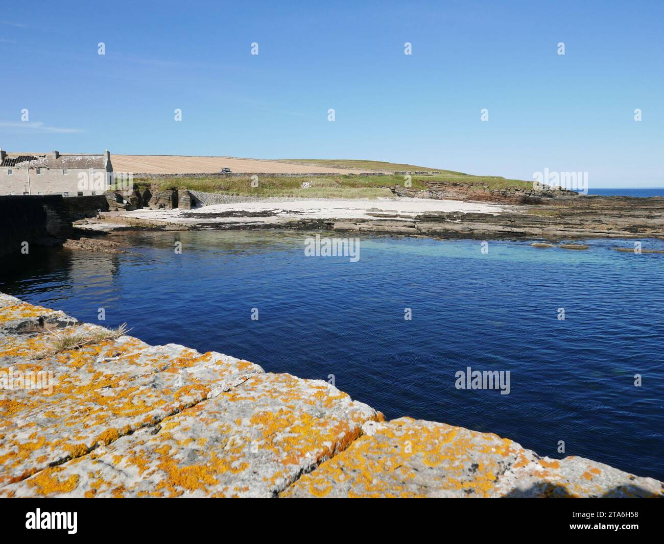 Fresgoe Harbour in der Nähe der Sandside Bay in Caithness Stockfoto