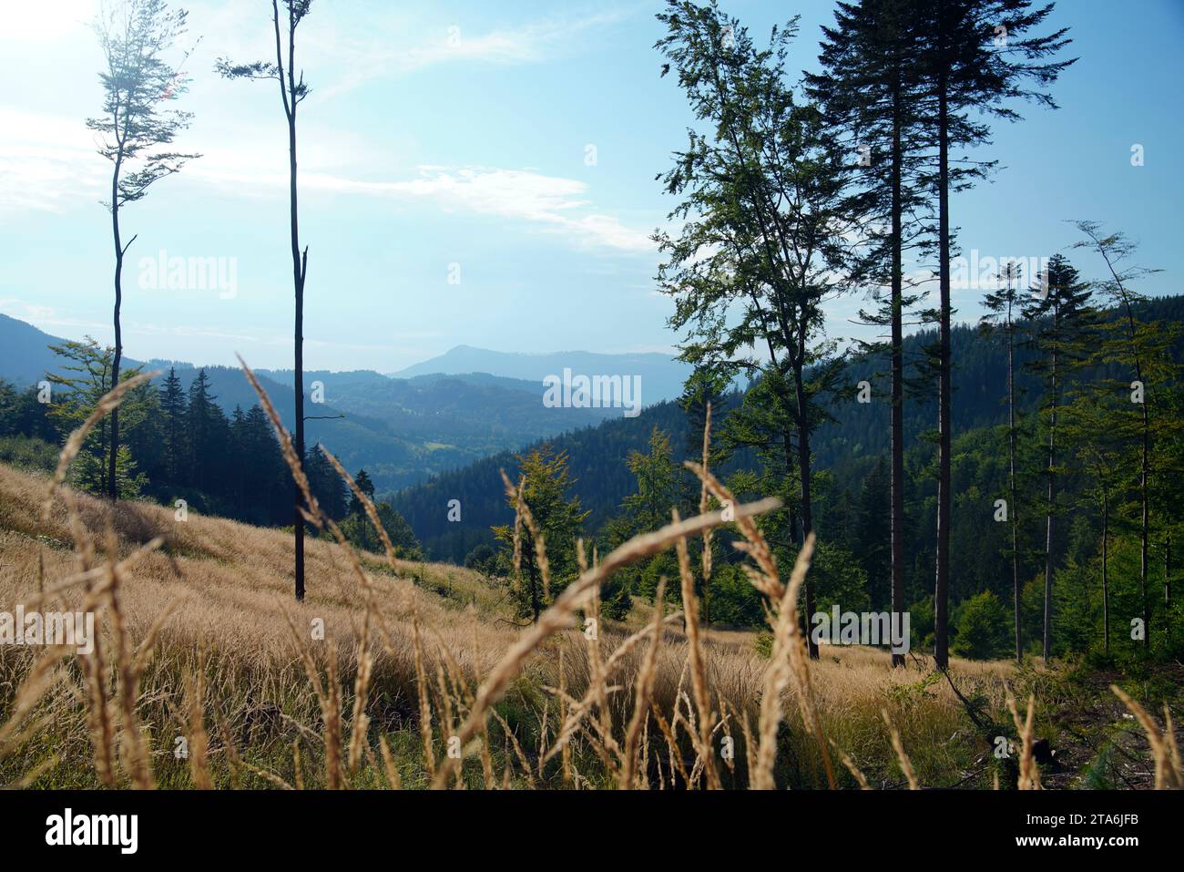 Mährisch-Schlesische Beskiden, Moravskoslezsky kraj, Tschechische Republik Stockfoto