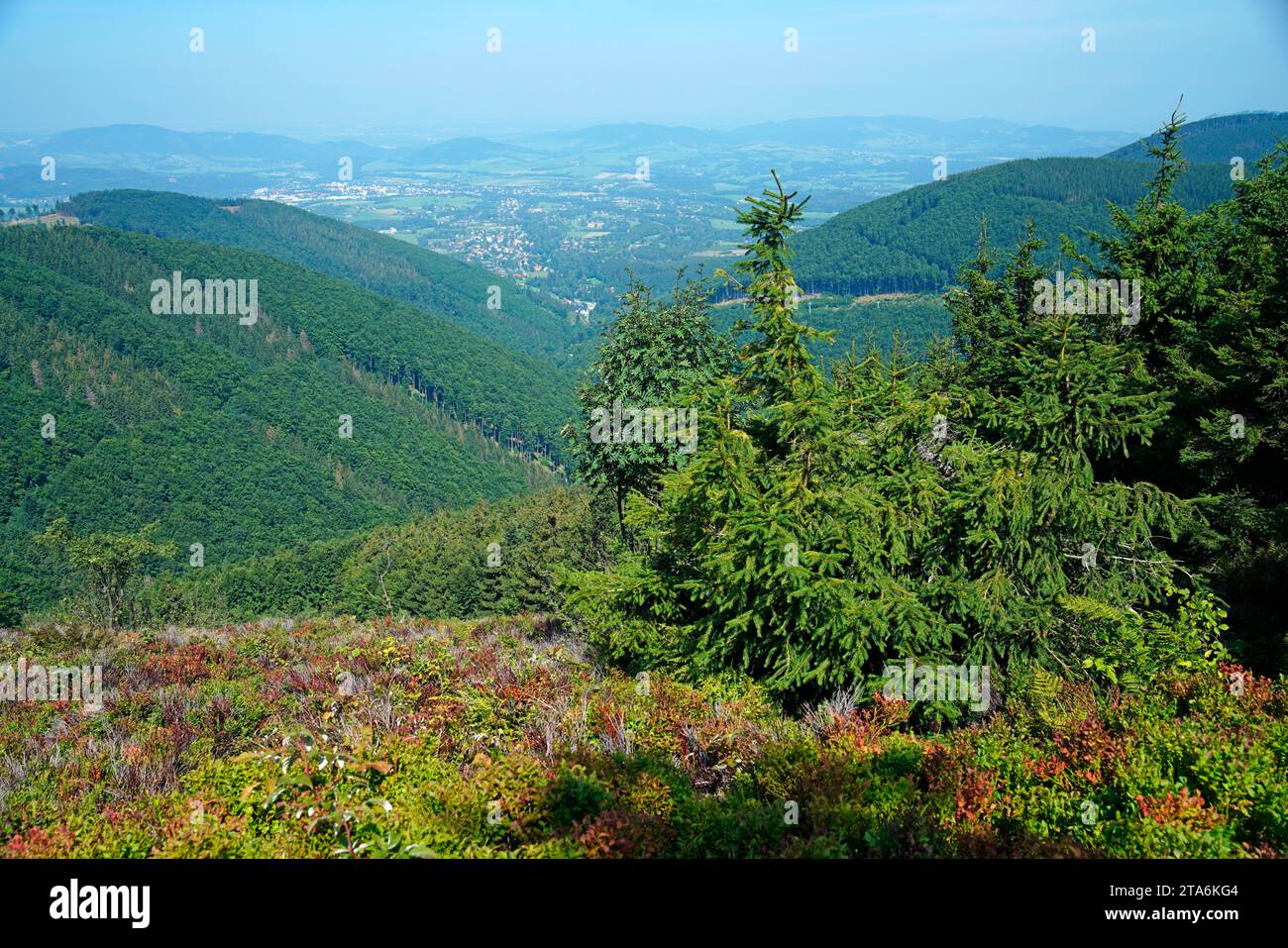 Mährisch-Schlesische Beskiden, Moravskoslezsky kraj, Tschechische Republik Stockfoto