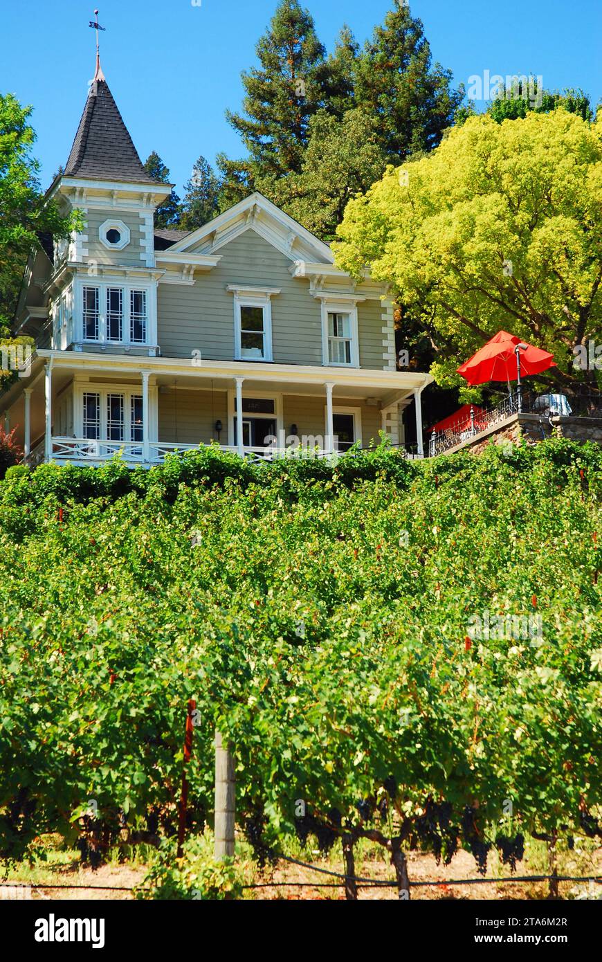 Ein niedliches viktorianisches Haus befindet sich in einem Weinberg in einem Weingut im Napa Valley Stockfoto Ein niedliches viktorianisches Haus befindet sich in einem Weinberg in einem Weingut im Napa Valley Stockfoto