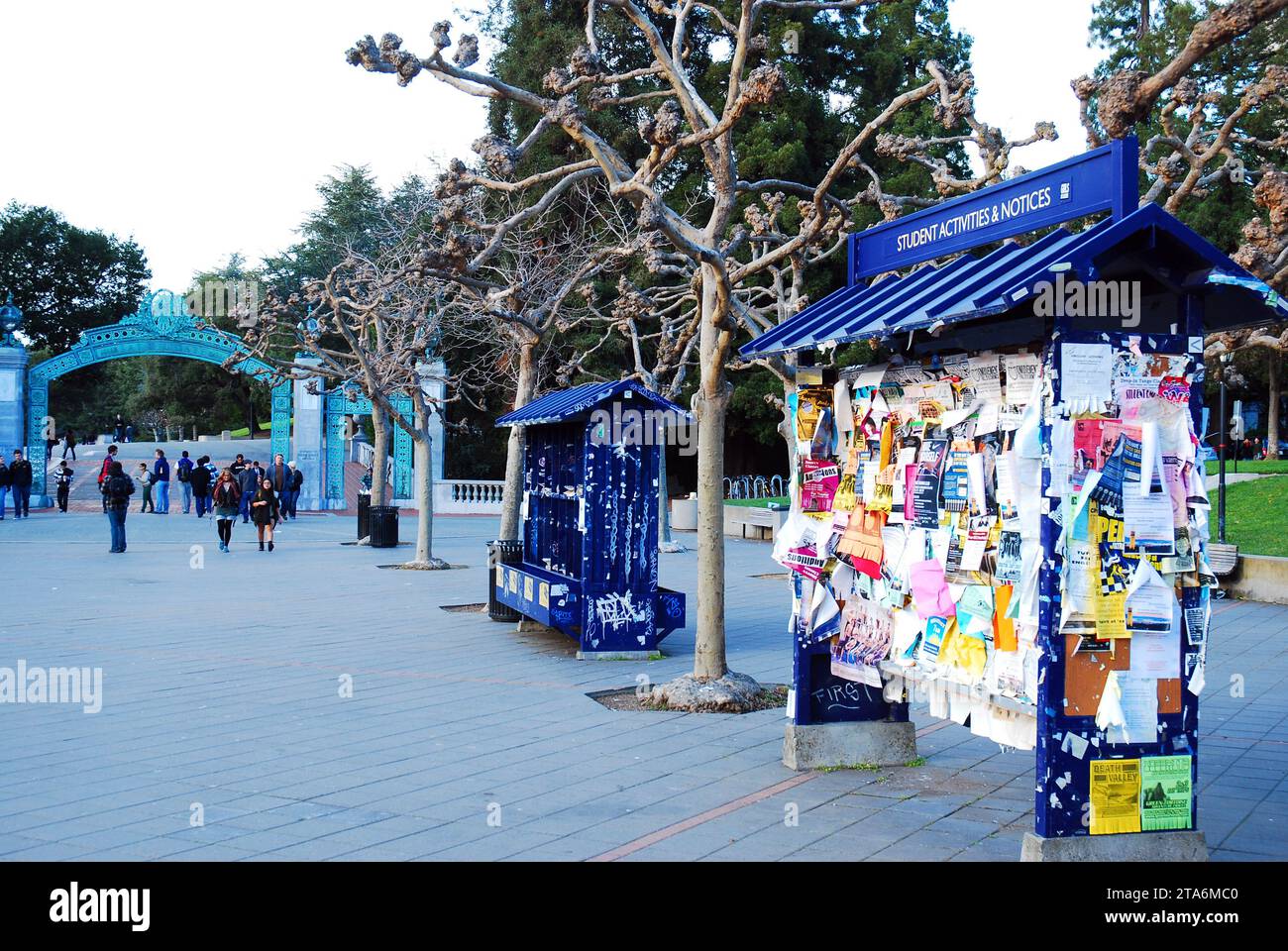 Ein Kiosk mit zahlreichen Flyern und Hinweisen befindet sich im Einkaufszentrum eines Kiosks, der Studenten der University of California (Cal) Dienstleistungen anbietet. Stockfoto