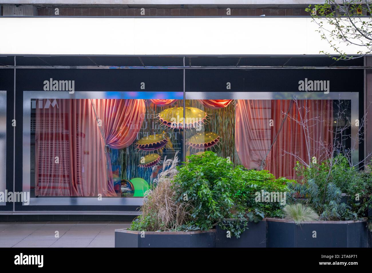 London, Großbritannien. November 2023. Geschäfte im Zentrum von London, die zu Weihnachten 2023 dekoriert sind. John Lewis Store in der Oxford Street mit der Venus Flytrap aus ihrer Weihnachtswerbung. Quelle: Malcolm Park/Alamy Live News Stockfoto