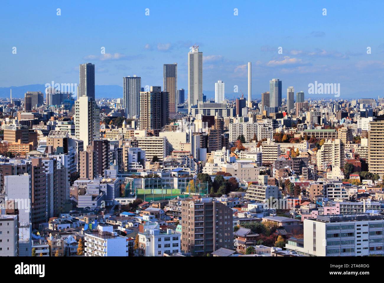 Blick auf Tokio mit Stadtteil Koishikawa (Bezirk Bunkyo) und Skyline von Ikebukuro (Bezirk Toshima). Tokio, Japan. Stockfoto