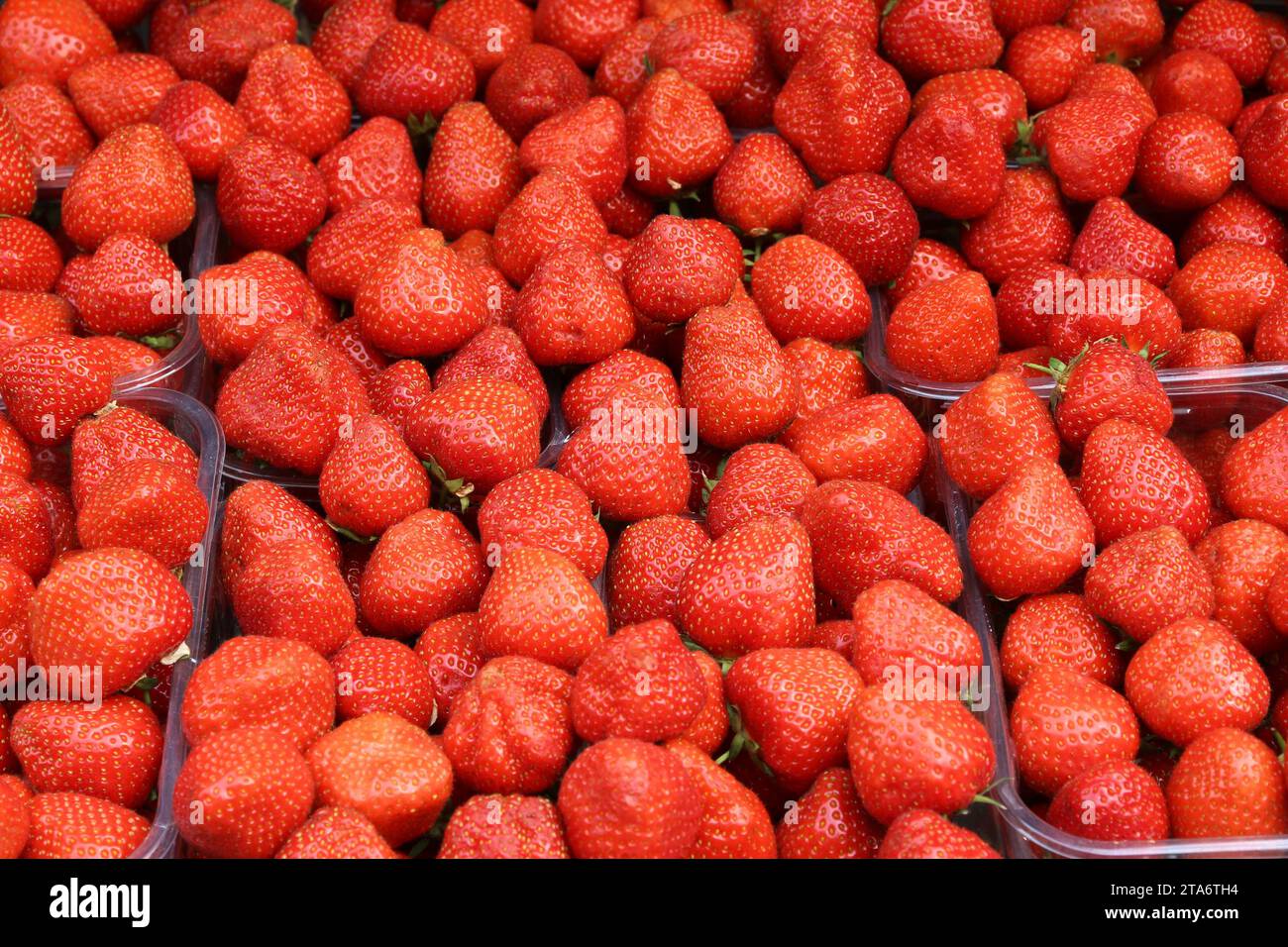 Erdbeer-Plastikschläuche auf einem Lebensmittelmarkt in London, Großbritannien. Stockfoto