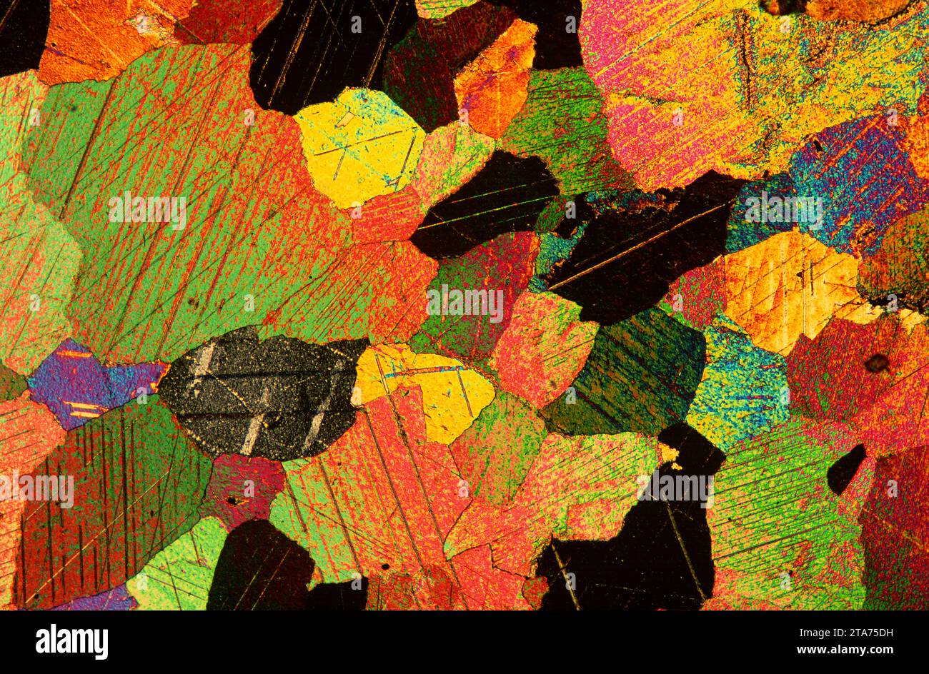 Marmor-Photomikrograph, polarisiertes Licht. Marmor ist ein metamorphes Gestein, das aus rekristallisierten Kalzit- oder Dolomitmineralen besteht. 30 cm vergrößert Stockfoto