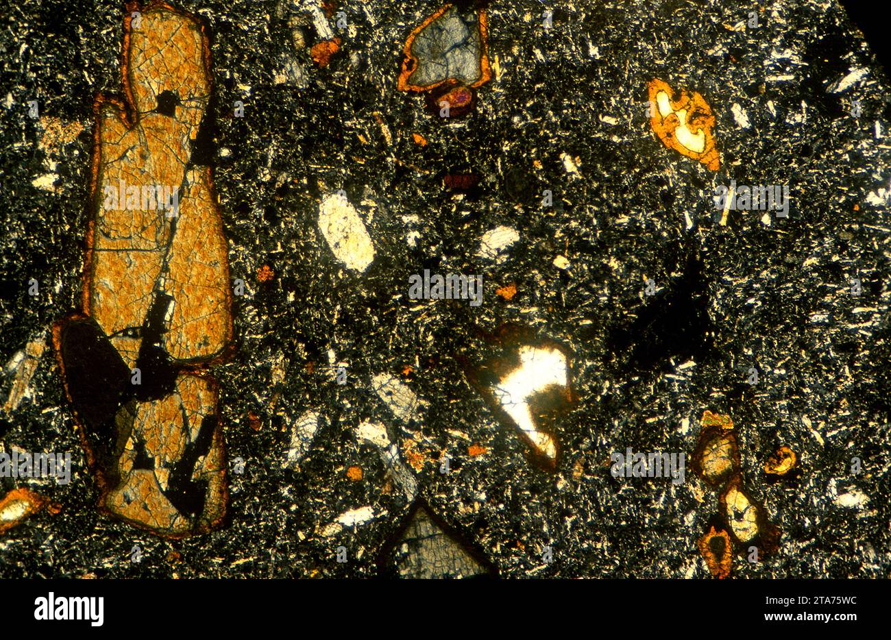 Nephelinreiches Basalt. Basalt ist ein magmatisches Extrusionsgestein. Photomikrograph, Dünnschnitt, polarisiertes Licht. Stockfoto