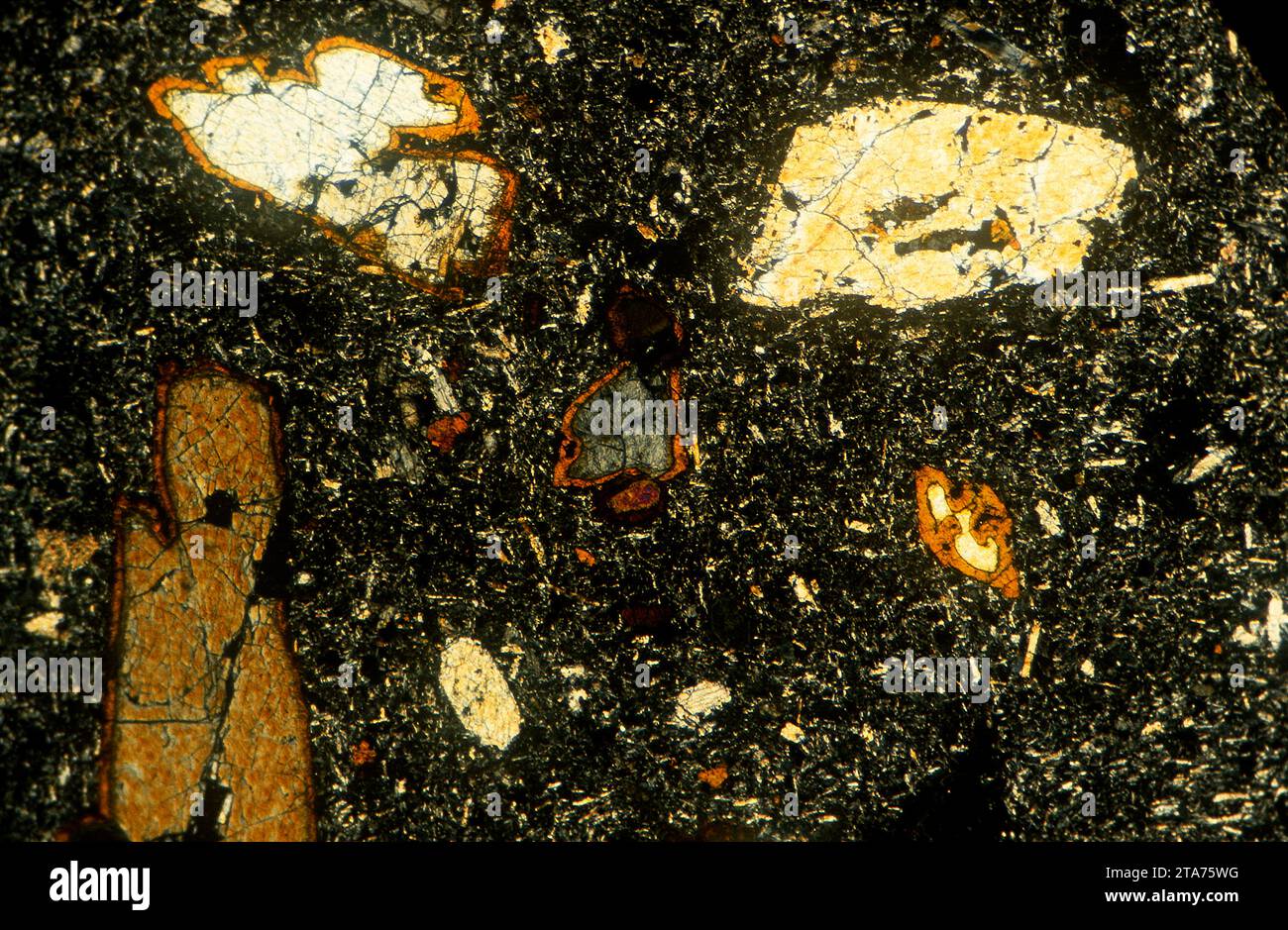 Nephelinreiches Basalt. Basalt ist ein magmatisches Extrusionsgestein. Photomikrograph, Dünnschnitt, polarisiertes Licht. Stockfoto