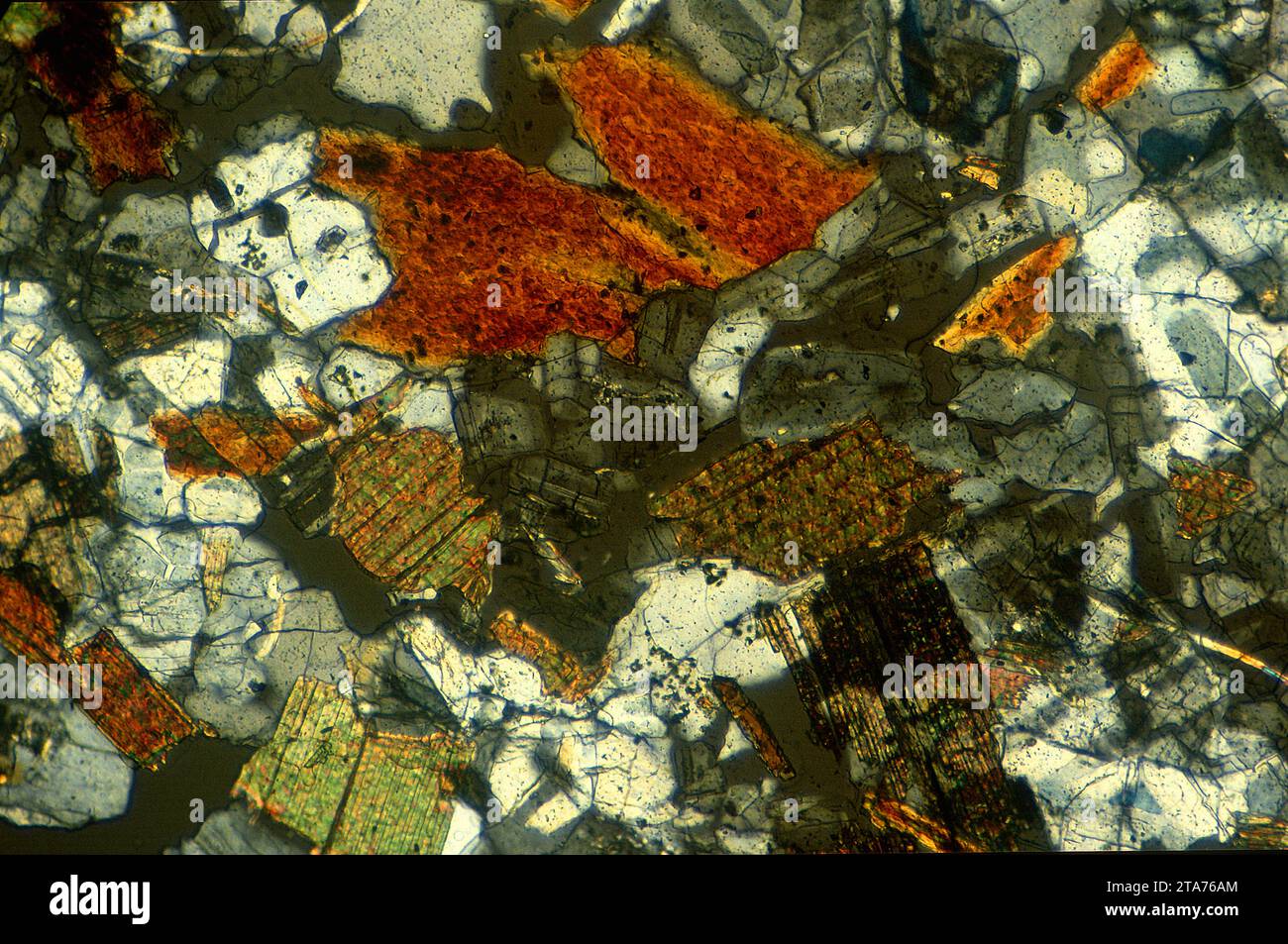 Granit ist ein magmatisches Intrusivgestein, das weit über die kontinentale Kruste verteilt ist. Photomikrograph, Dünnschnitt, polarisiertes Licht. Stockfoto