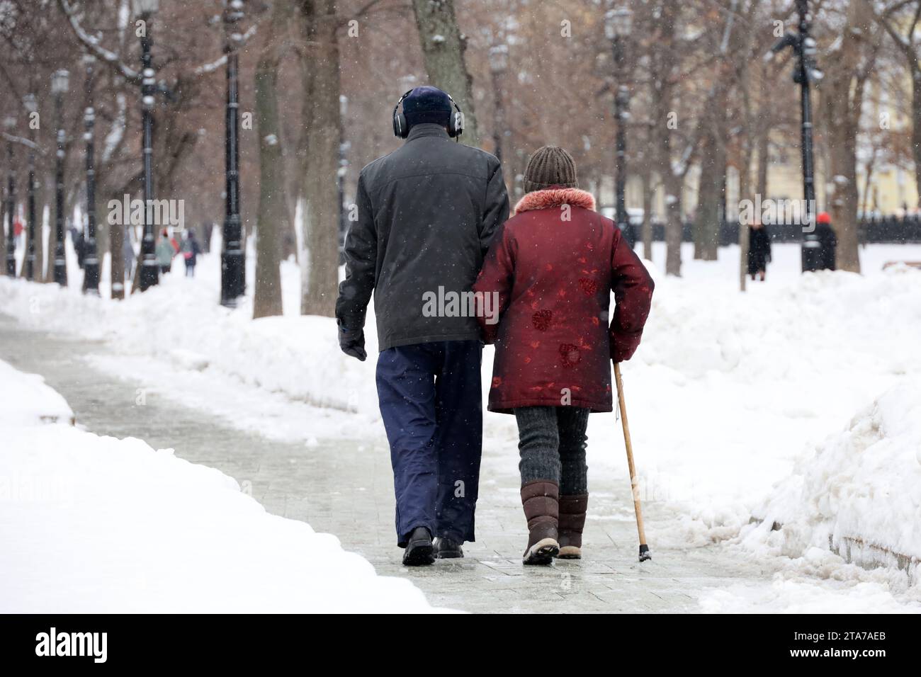 Ältere Frau mit Stock und Mann, die im Winterpark spazieren gehen, Rückansicht. Altes Ehepaar in warmer Kleidung bei Schneewetter, Altersvorstellung Stockfoto