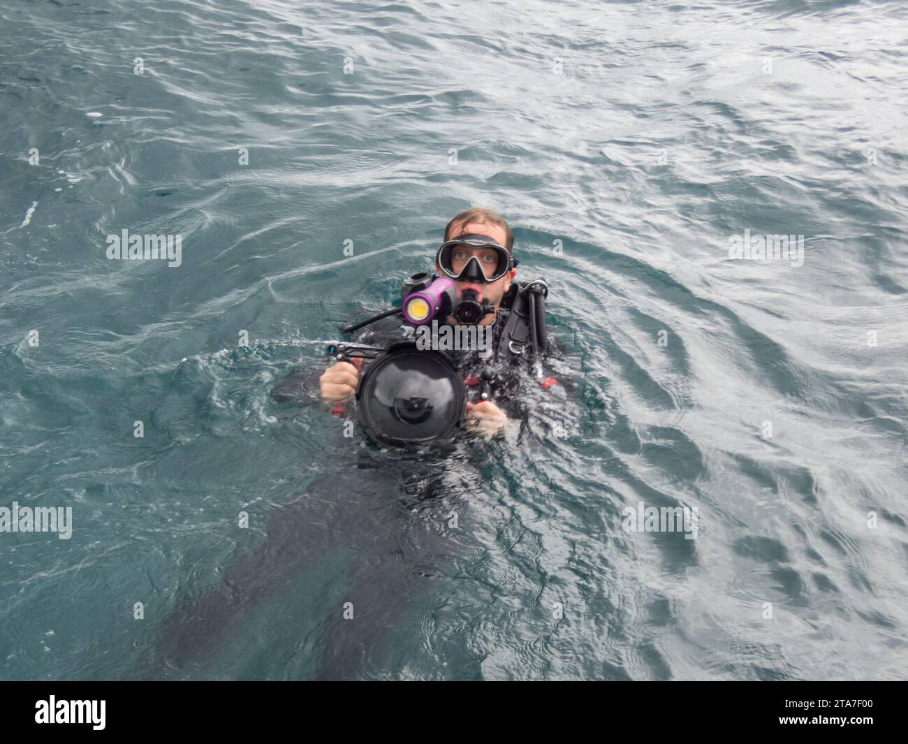 Taucher mit Videokamera in den Gewässern vor der Küste von Puntarenas in Costa Rica Stockfoto