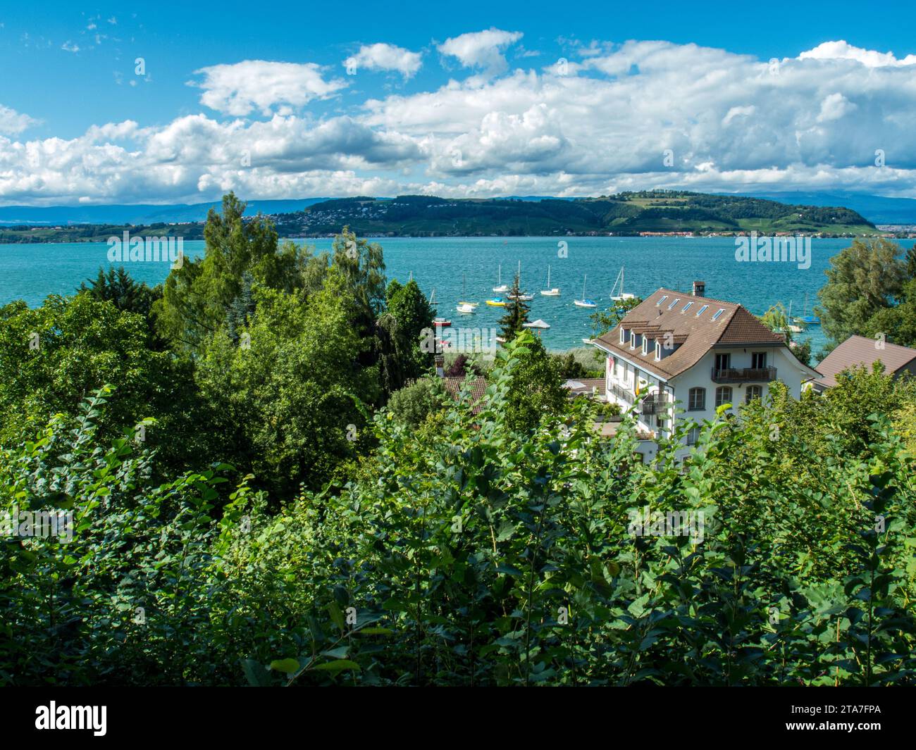 Blick auf den Murtensee von der Stadtmauer in Murten, Schweiz Stockfoto