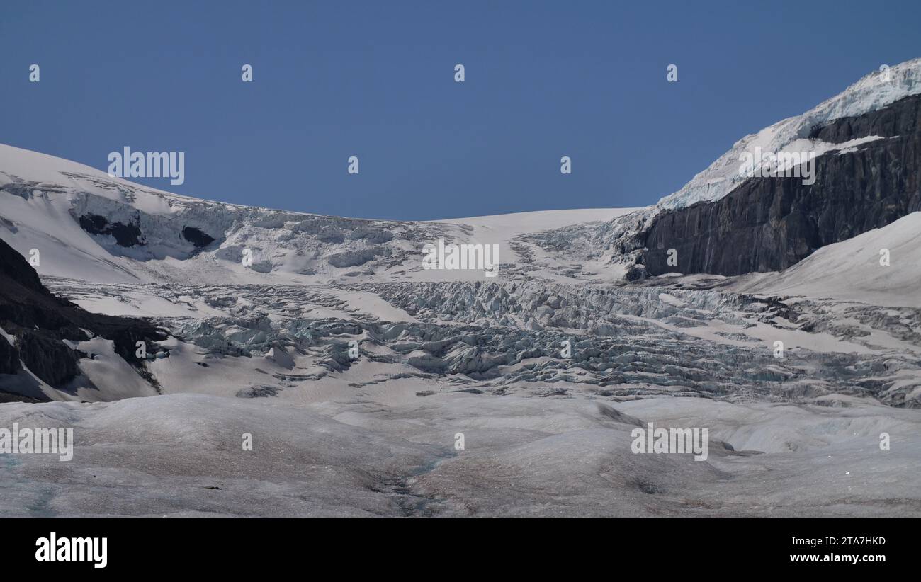 Athabasca Glacier, Alberta Stockfoto