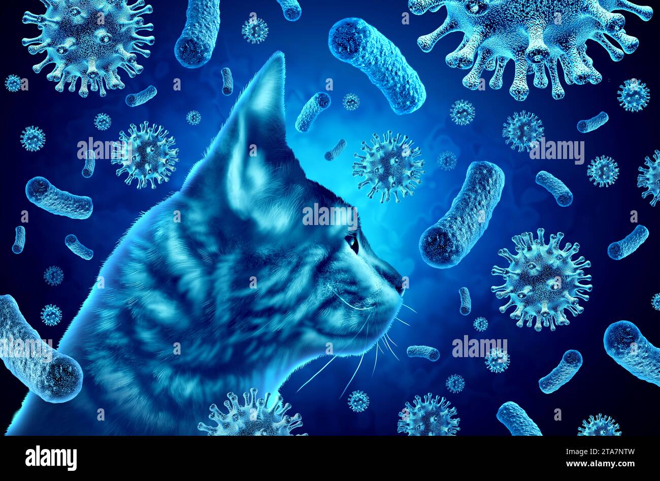 Katzenseuche-Ausbruch als Atemwegserkrankung-Epidemie mit felinen oberen Atemwegsinfektionen als Parvovirus und CPV-Ausbruchsvirus und BakterienPET. Stockfoto
