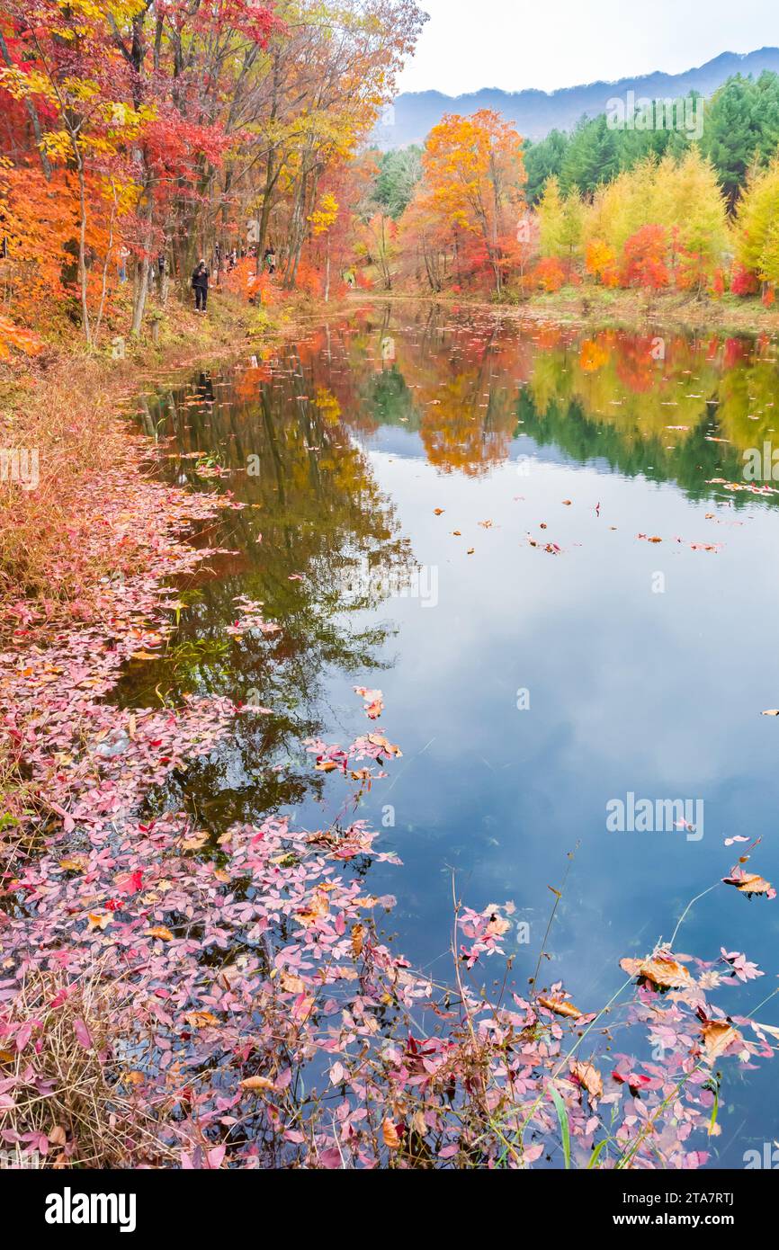 Reflektierter Farbsee im Herbst im Laobiangou Touristengebiet von Benxi, China Stockfoto
