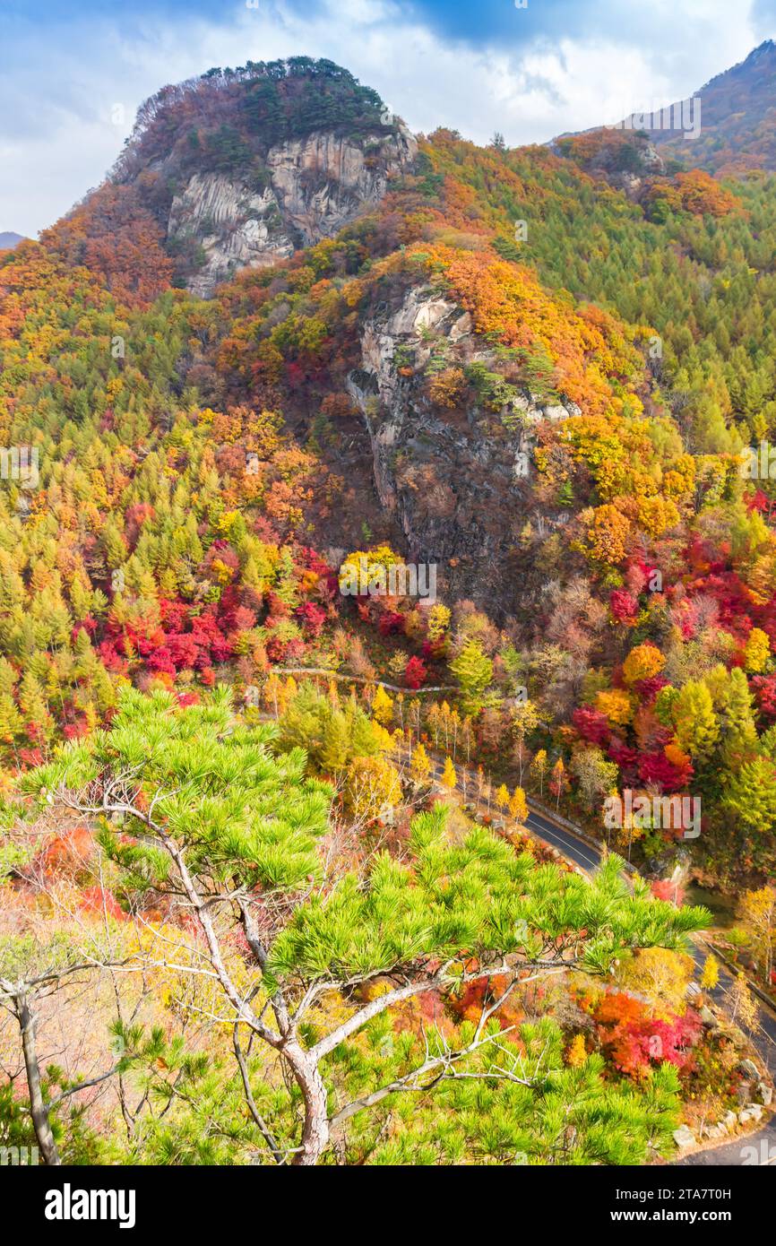 Herbstfarben auf dem Berggipfel des Naturgebietes Laobiangou in der Nähe von Benxi, China Stockfoto