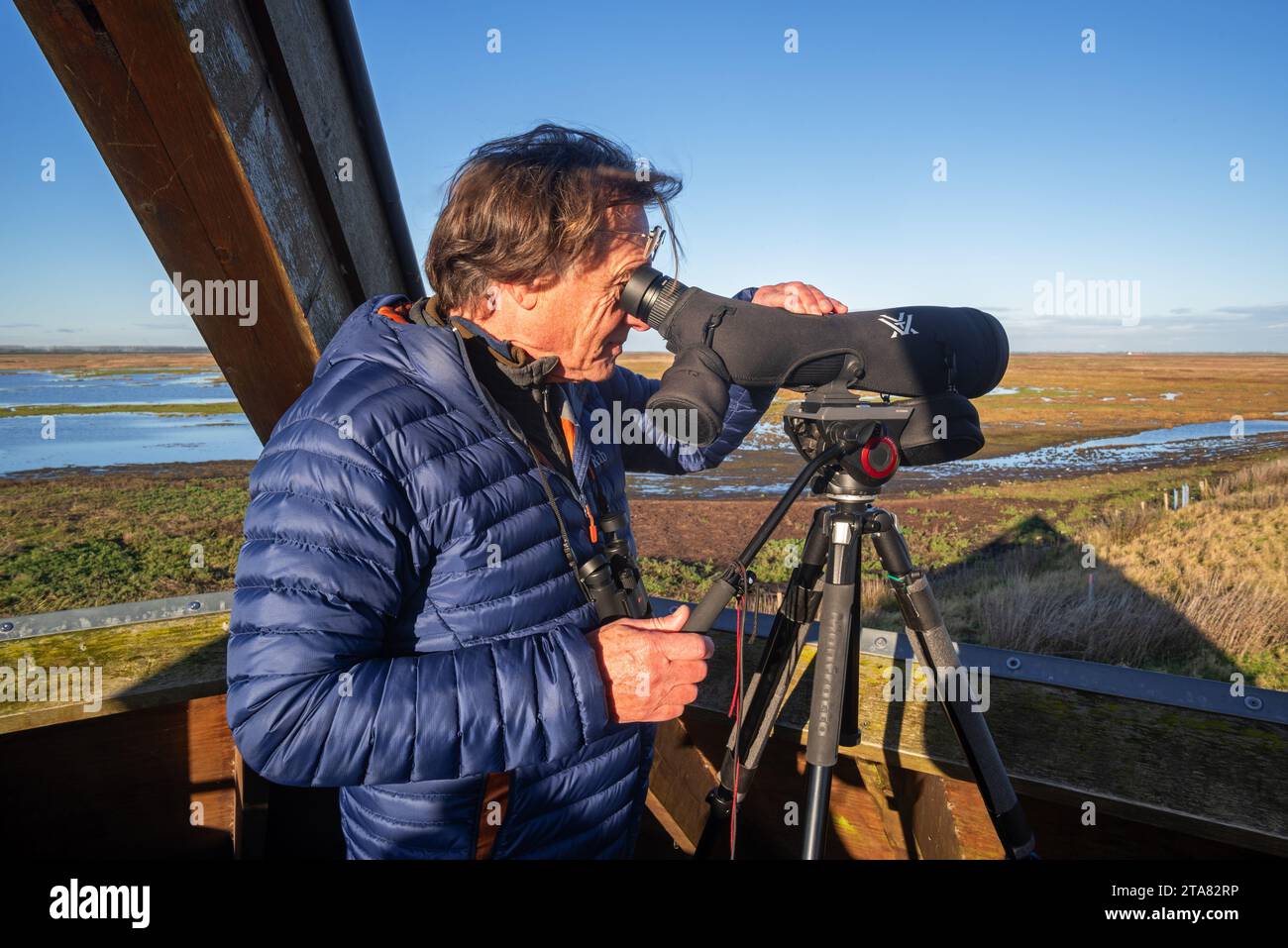 Vogelbeobachter mit Blick durch das Teleskop über die Salzwiesen der westlichen Schelde-Mündung im Naturschutzgebiet Verdronken Land van Saeftinghe, Niederlande Stockfoto