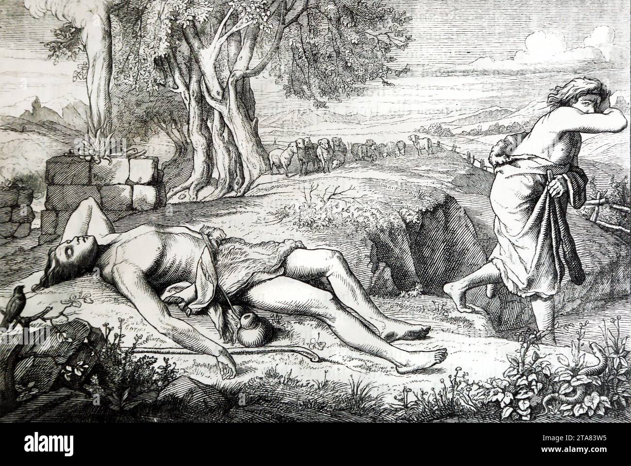 Illustration des Todes von Abel (Genesis) Kain, der nach dem Mord an Abel weggelaufen ist, aus der illustrierten Familienbibel Stockfoto