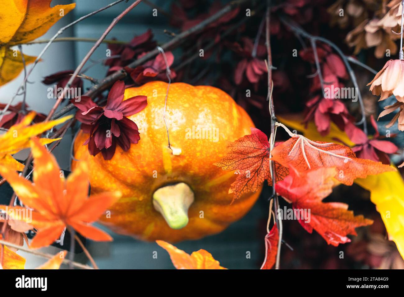 Eine atemberaubende Darstellung der Herbsternte mit Reifen Kürbissen und farbenfrohen Blättern in einer bezaubernden Stillleben-Szene Stockfoto