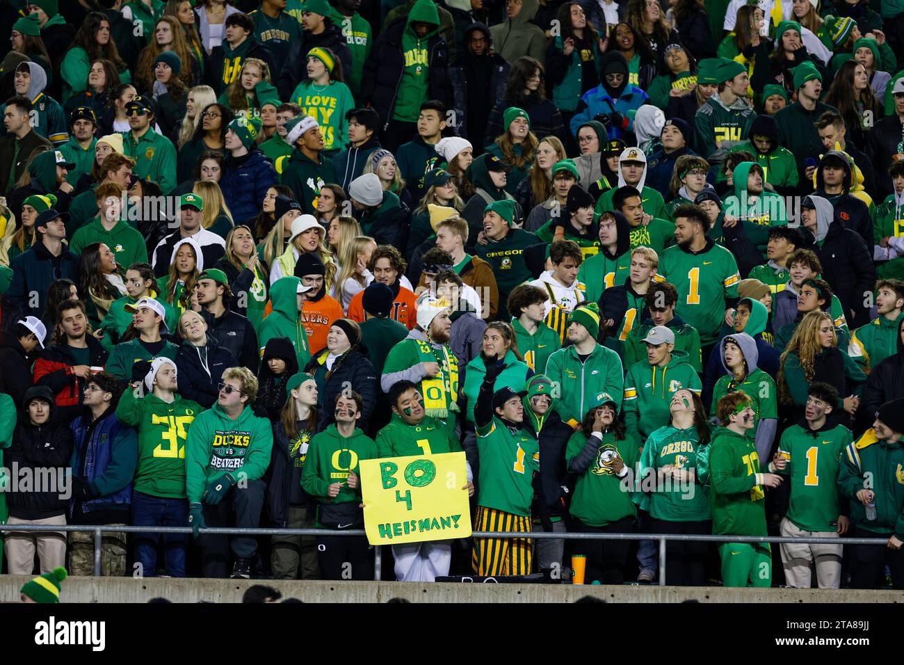 Die Fans der Oregon Ducks jubeln am Freitag, den 24. November 2023 im Autzen Stadium i bei einem College Football-Spiel gegen die Oregon State Beavers an Stockfoto