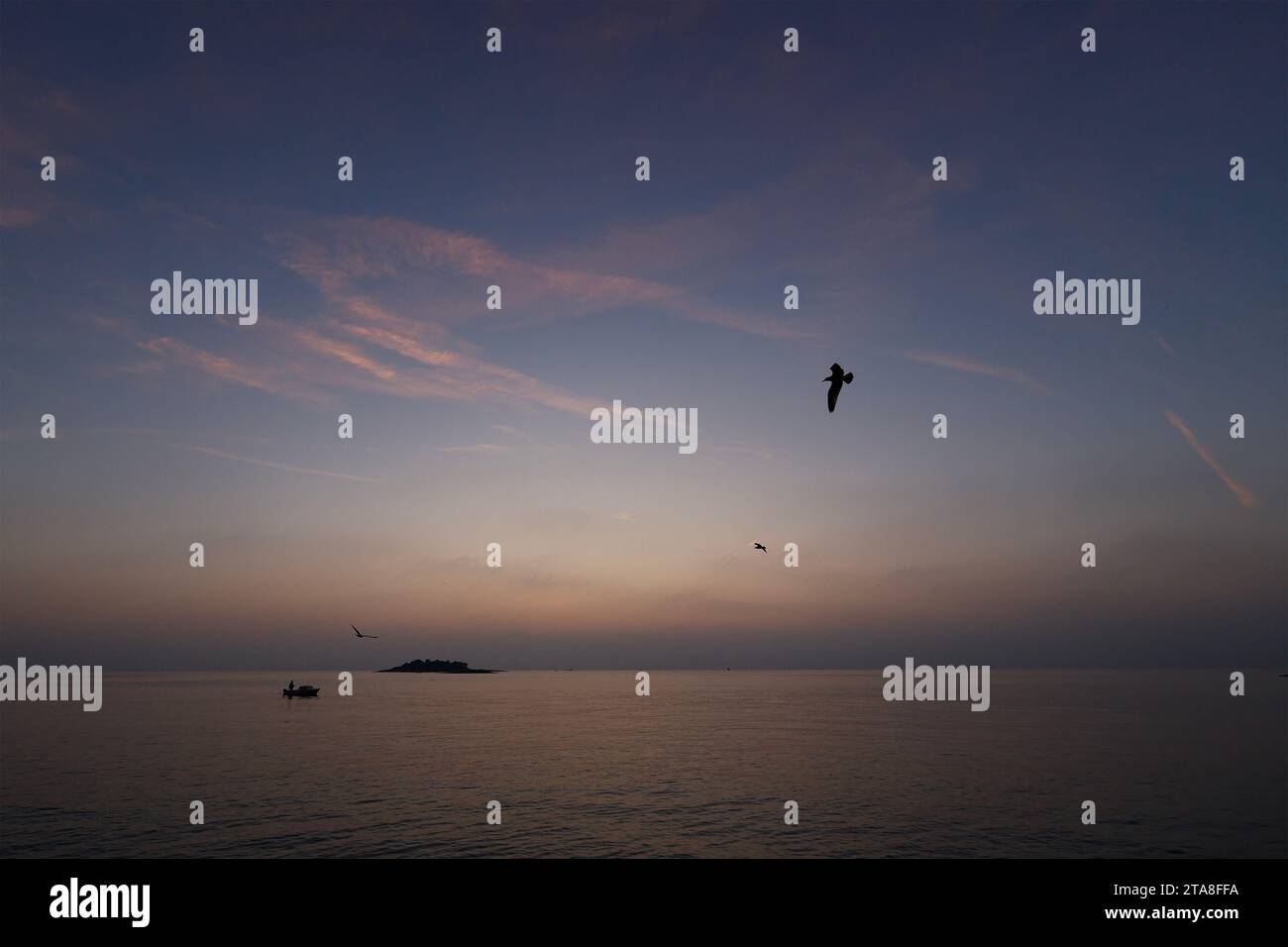 Silhouette fliegenden Möwen und Mann in einem kleinen Boot kurz nach Sonnenuntergang, Vrsar, (Orsera), Istrien, Kroatien Stockfoto