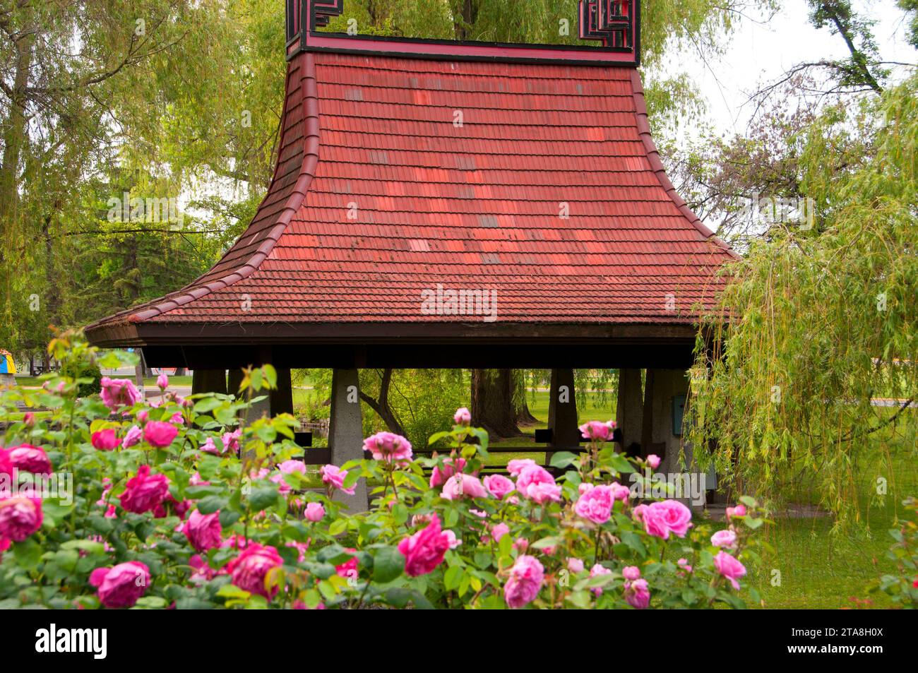 Chinesische Pagode Picknickschutz von Rose Garden, Polson Park, Vernon, Britisch-Kolumbien, Kanada Stockfoto