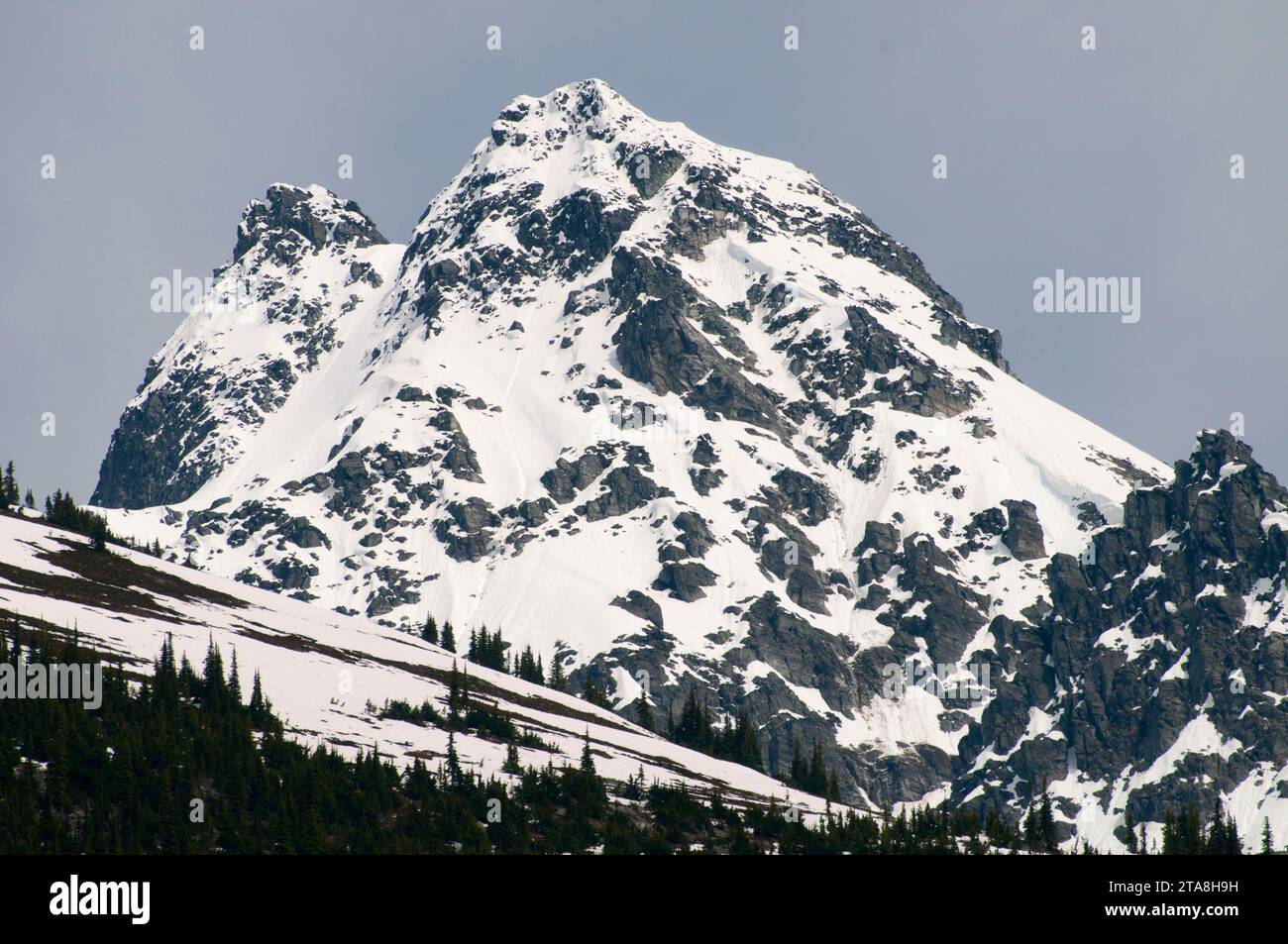 Sir Donald Range, Rogers Pass National Historic Site, Glacier National Park, Britisch-Kolumbien, Kanada Stockfoto