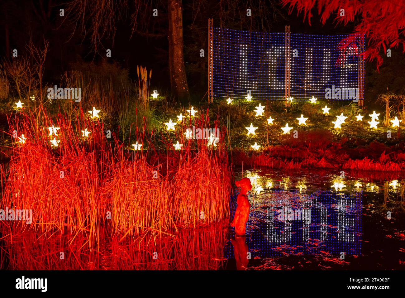 Romsey, Hampshire, Vereinigtes Königreich. November 2023. Vorschau Abend der Light Up Trails in den Sir Harold Hillier Gardens in Romsey, der morgen eröffnet wird mit einem kilometerlangen, immersiven Erlebnis, das von Light Up Trails geschaffen wird. Die prächtigen Gärten, die weltweit für ihre Sammlungen von Bäumen und seltenen Pflanzen bekannt sind, werden an Weihnachten in einem aufregenden neuen Licht gesehen, während die preisgekrönte Besucherattraktion nach Einbruch der Dunkelheit ihre Tore für ein ganz besonderes, absolut schönes Erlebnis öffnet, mit den Lichtern, die die Landschaft betonen, wie sie noch nie zuvor gesehen wurden. Quelle: Carolyn Jenkins/Alamy Live News Stockfoto