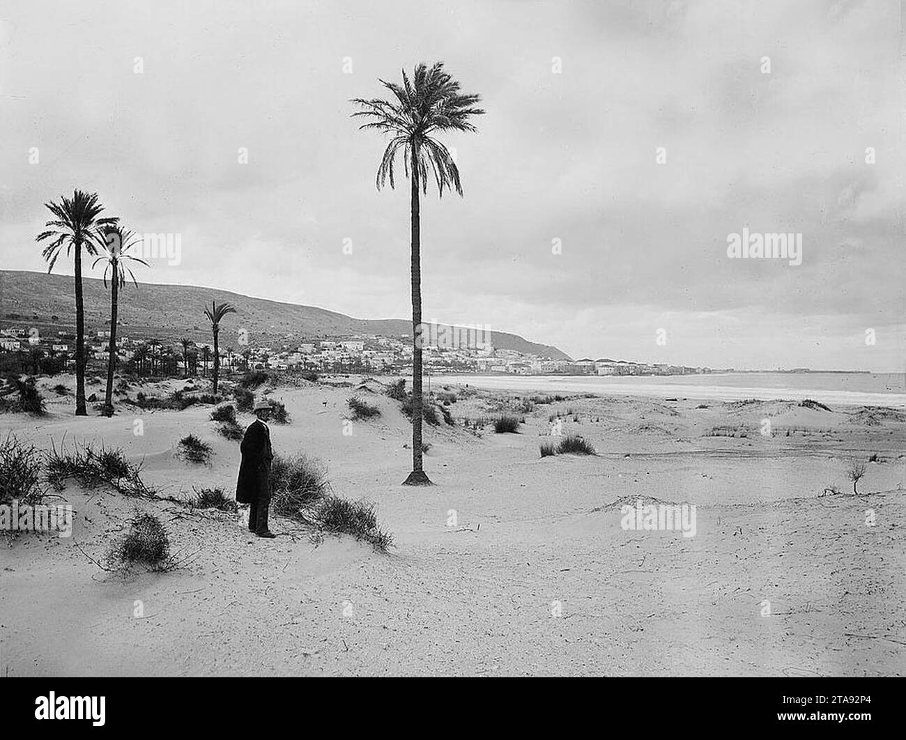 Blick auf Haifa vom Shemen Beach, noch keine Häuser in Hadar Hacarmel (ca. 1898 bis 1907) 008. Stockfoto