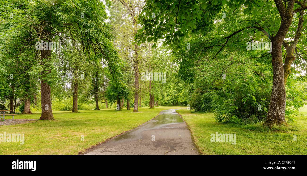 Park nach Regen, Oregon, USA Stockfoto