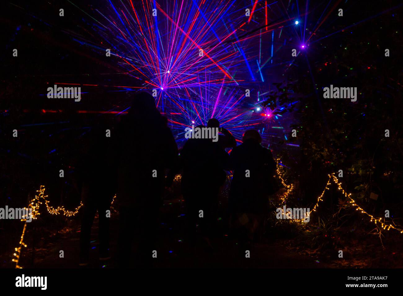 Romsey, Hampshire, Vereinigtes Königreich. November 2023. Vorschau Abend der Light Up Trails in den Sir Harold Hillier Gardens in Romsey, der morgen eröffnet wird mit einem kilometerlangen, immersiven Erlebnis, das von Light Up Trails geschaffen wird. Die prächtigen Gärten, die weltweit für ihre Sammlungen von Bäumen und seltenen Pflanzen bekannt sind, werden an Weihnachten in einem aufregenden neuen Licht gesehen, während die preisgekrönte Besucherattraktion nach Einbruch der Dunkelheit ihre Tore für ein ganz besonderes, absolut schönes Erlebnis öffnet, mit den Lichtern, die die Landschaft betonen, wie sie noch nie zuvor gesehen wurden. Quelle: Carolyn Jenkins/Alamy Live News Stockfoto