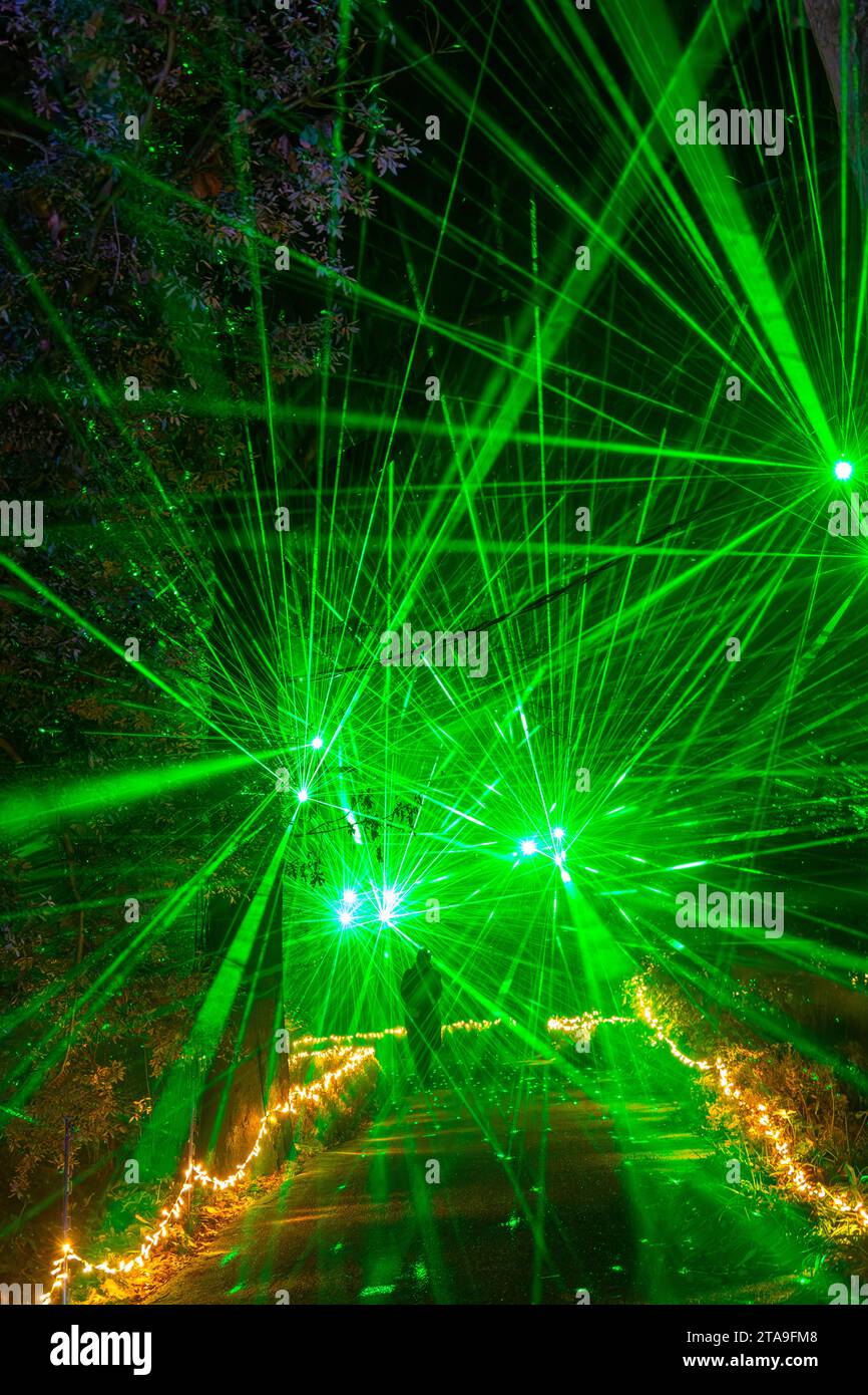 Romsey, Hampshire, Vereinigtes Königreich. November 2023. Vorschau Abend der Light Up Trails in den Sir Harold Hillier Gardens in Romsey, der morgen eröffnet wird mit einem kilometerlangen, immersiven Erlebnis, das von Light Up Trails geschaffen wird. Die prächtigen Gärten, die weltweit für ihre Sammlungen von Bäumen und seltenen Pflanzen bekannt sind, werden an Weihnachten in einem aufregenden neuen Licht gesehen, während die preisgekrönte Besucherattraktion nach Einbruch der Dunkelheit ihre Tore für ein ganz besonderes, absolut schönes Erlebnis öffnet, mit den Lichtern, die die Landschaft betonen, wie sie noch nie zuvor gesehen wurden. Quelle: Carolyn Jenkins/Alamy Live News Stockfoto