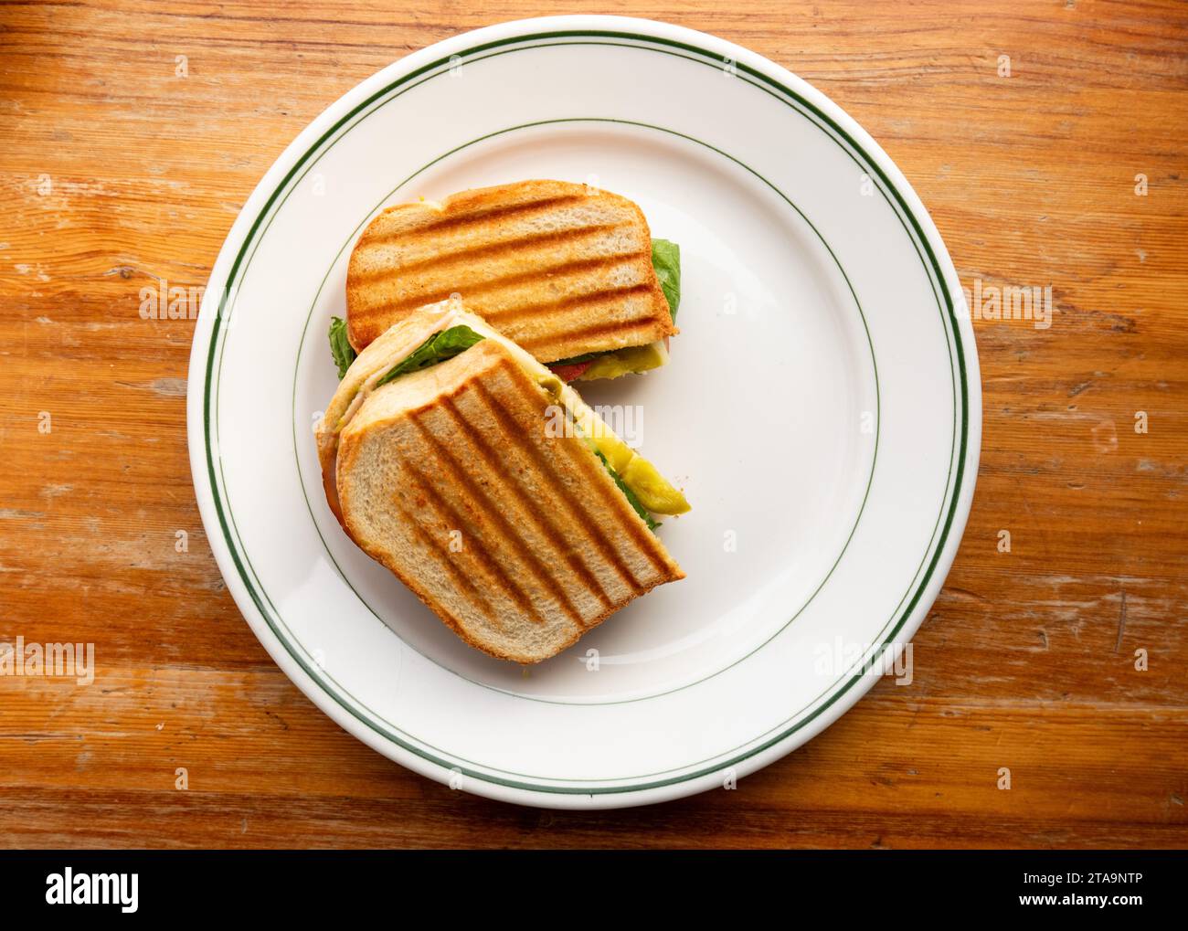 Frischer Pute Panini Stockfoto