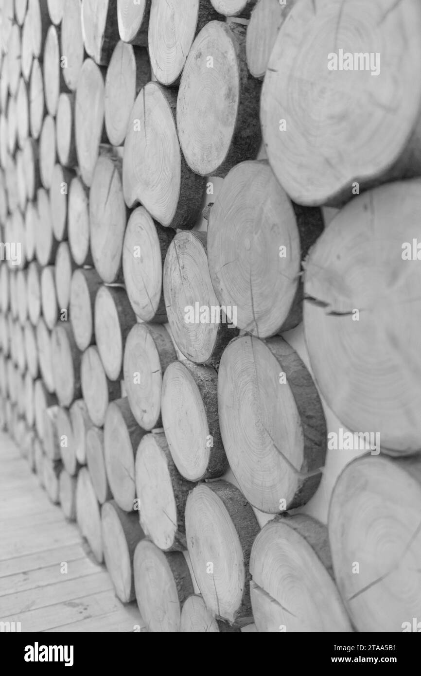 Holz rund jährliche Holzringe, Baumstämme Holz Innere graue Dekoration Wand Waldhintergrund Holzgrau Dekor diagonal. Stockfoto