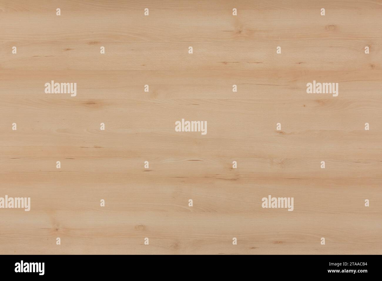 Helle Farbe Glatte Oberfläche Abstrakte Natürliche Holzmuster Textur Brett Hintergrund Hölzerne Hintergrund Plank Schreibtisch. Stockfoto