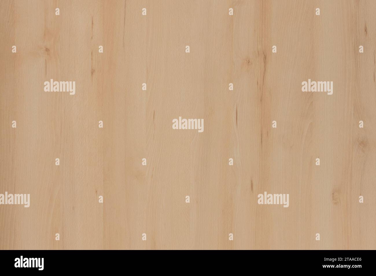 Helle Glatte Oberfläche Abstrakte Natürliche Holzmuster Textur Brett Hintergrund Hölzerne Hintergrund Plank Schreibtisch. Stockfoto