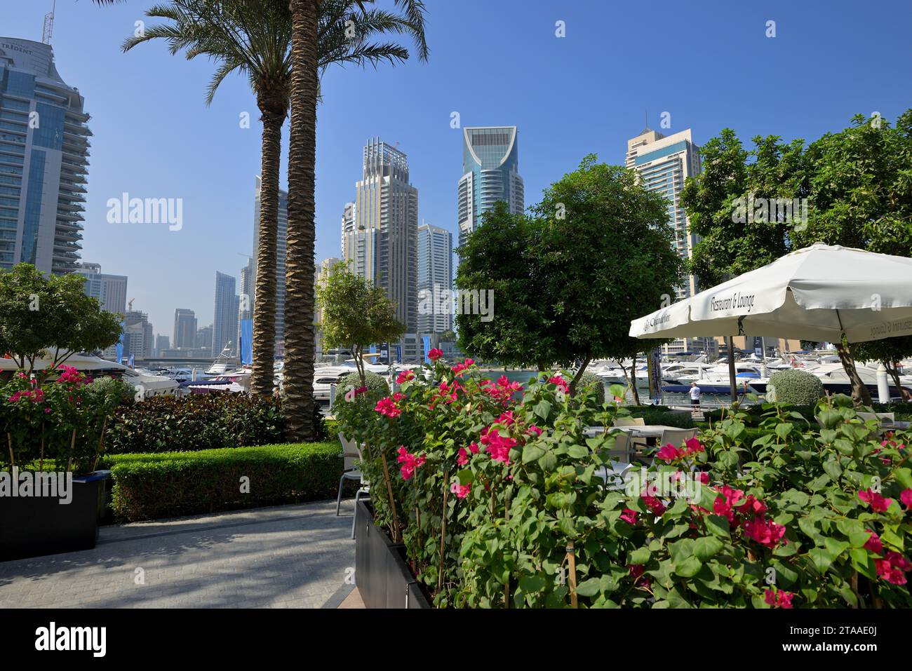 Der Dubai Marina District bietet einen futuristischen gehobenen Lebensstil, Dubai VAE Stockfoto