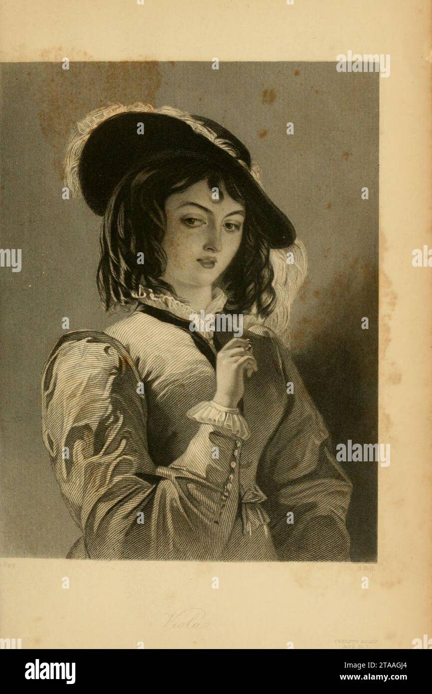 Viola, zwölfte Nacht, Ein Ei. Stockfoto