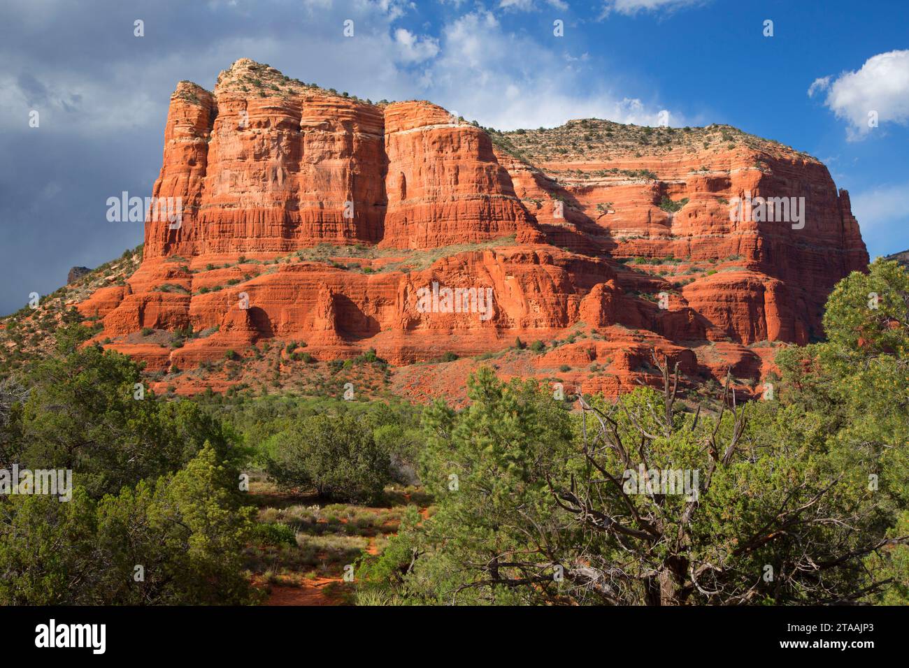 Gerichtsgebäude Butte von Bell Rock Vista, roten Felsen Scenic Byway, Coconino National Forest, Arizona Stockfoto