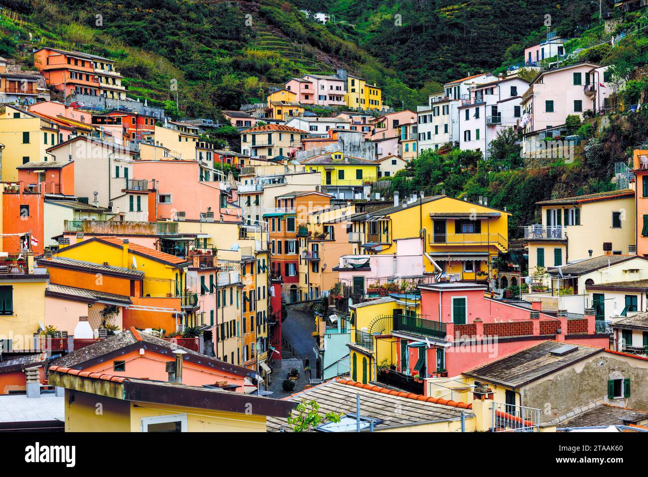 Blick auf das Dorf Riomaggiore, Cinque Terre, Ligurien, Italien Stockfoto