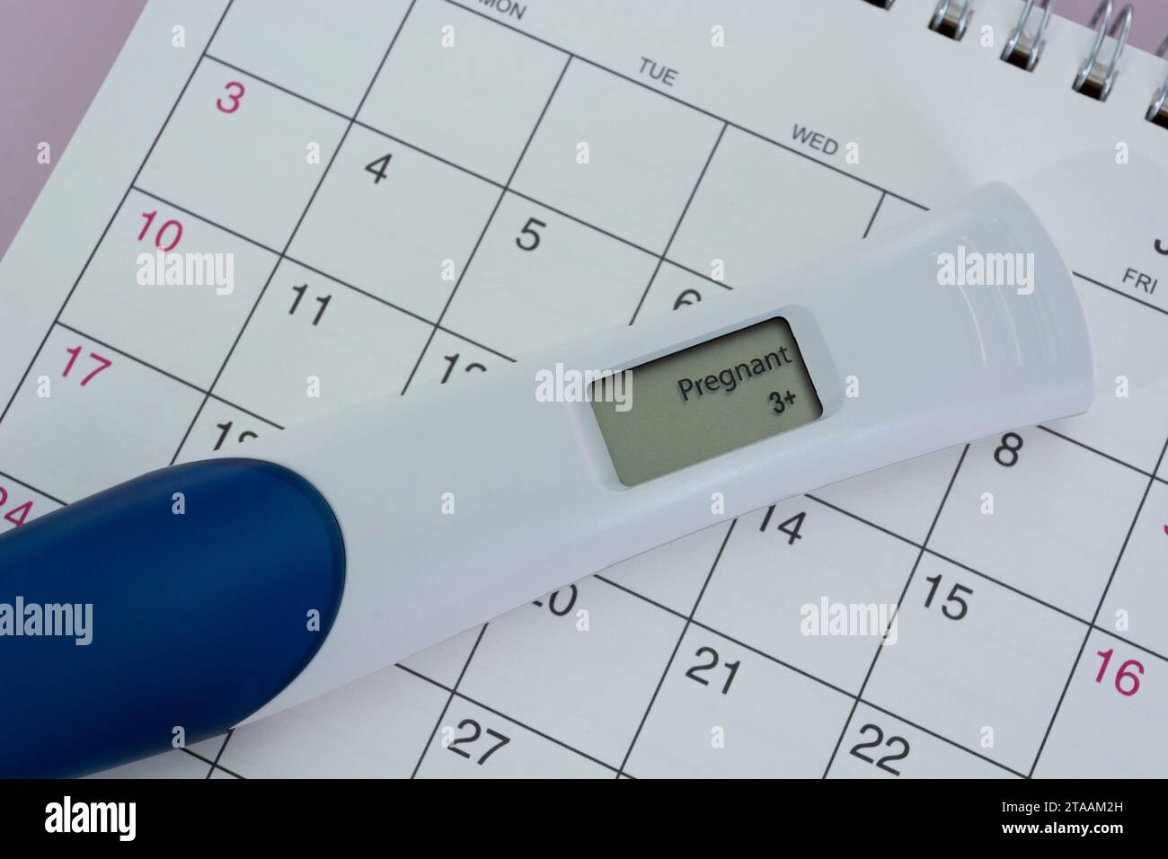 Positiver Schwangerschaftstest im Kalender. Es Wird Versucht, Ein Konzept Zu Entwickeln. Stockfoto