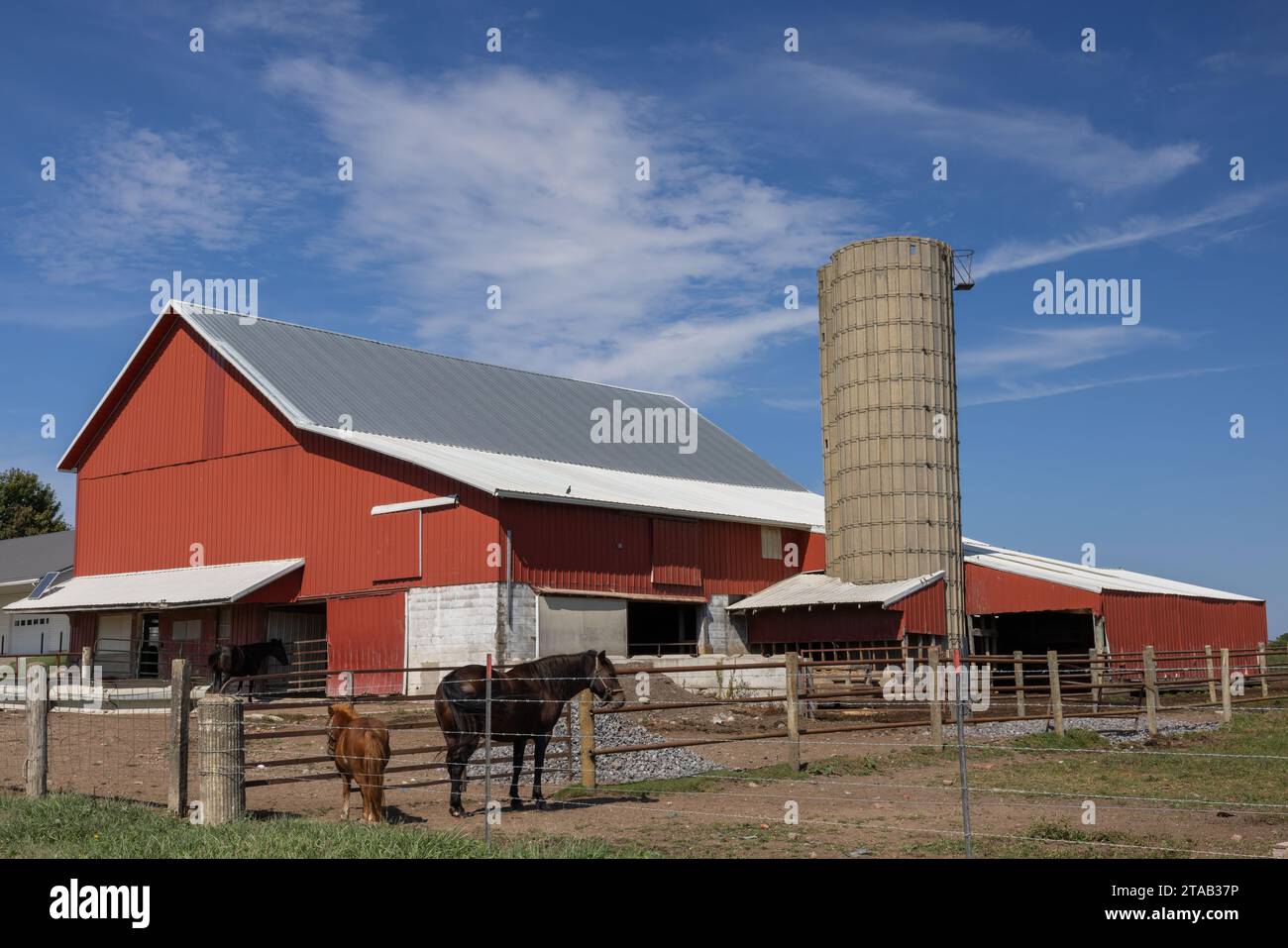 Pferde und Scheune auf der Amish Farm, LaGrange County, Indiana Stockfoto
