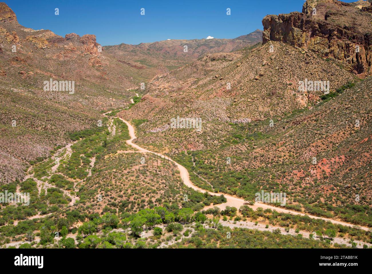 Wüste Byway, Apache Trail Scenic Byway, Tonto National Forest, Arizona Stockfoto